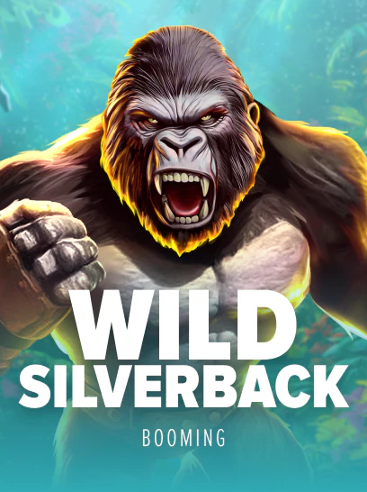 Wild Silverback image